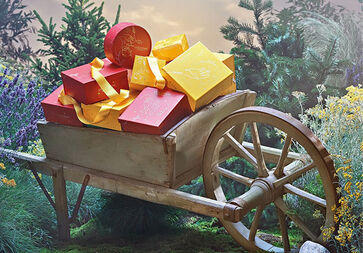 CROWDLESS GIFT SHOPPING